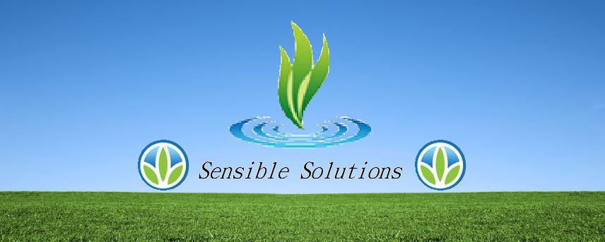Sensisble Solutions (Herba